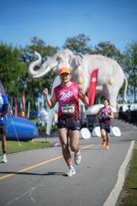 BIB: 
                            <button type="button" onclick="openModal(26542609)" class="btn btn-primary btn-sm float-right btn-popup" data-toggle="modal" data-target=".modal-high-quality">
                        <i class="fas fa-shopping-cart"></i> Add to Cart
                    </button>
                                            <button type="button" onclick="isThisMe(26542609, true)" class="btn btn-success btn-sm float-right btn-popup btn-isme hidden" data-toggle="tooltip" data-placement="bottom" title="นี่คือรูปของคุณใช่ไหม คลิกที่นี่เพื่อเอาเข้าอัลบั้ม">
                        <i class="fas fa-plus"></i> Add to album
                    </button>
                    <button type="button" onclick="isThisMe(26542609, false)" class="btn btn-warning btn-sm float-right btn-popup btn-isnotme hidden">
                        <i class="fas fa-ban"></i> Remove from album
                    </button>